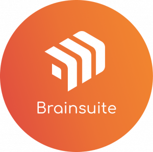 Brainsuite AI